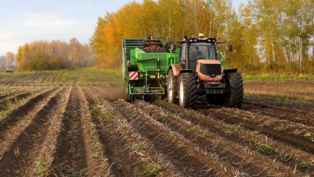 С начала года фермеры КР получили почти 2.3 тысячи кредитов по проекту «ФСХ» изображение публикации