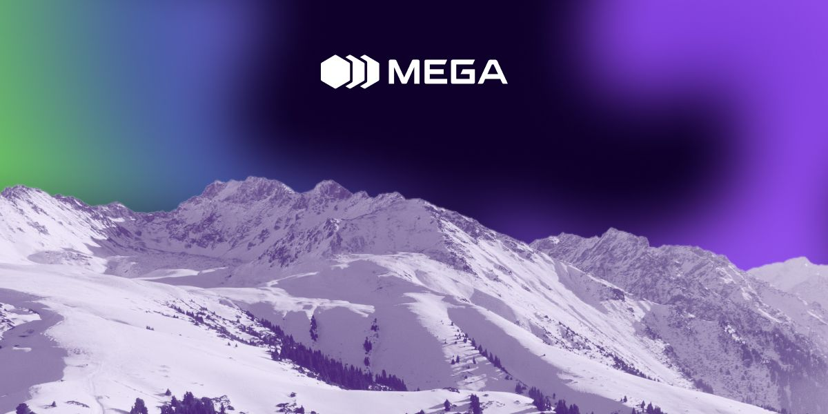 Новогодние каникулы в Караколе вместе с MEGA