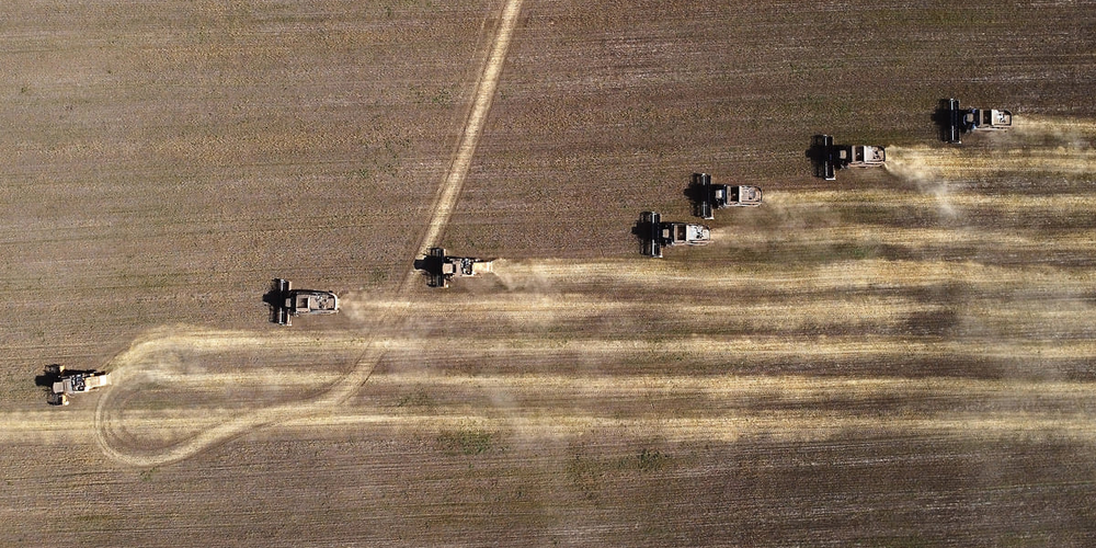 В Иссык-Кульской области создали новый семеноводческий кооператив изображение публикации